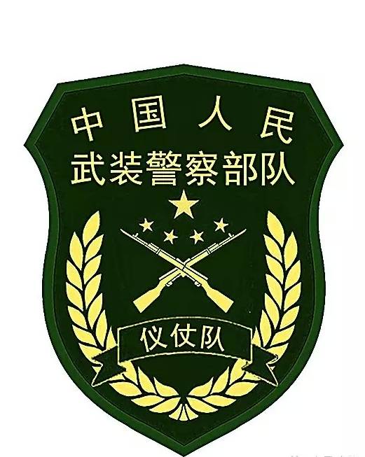 中国人民武装警察军队陆战中队肩章中国人民武装警察军队秃鹰特种军队