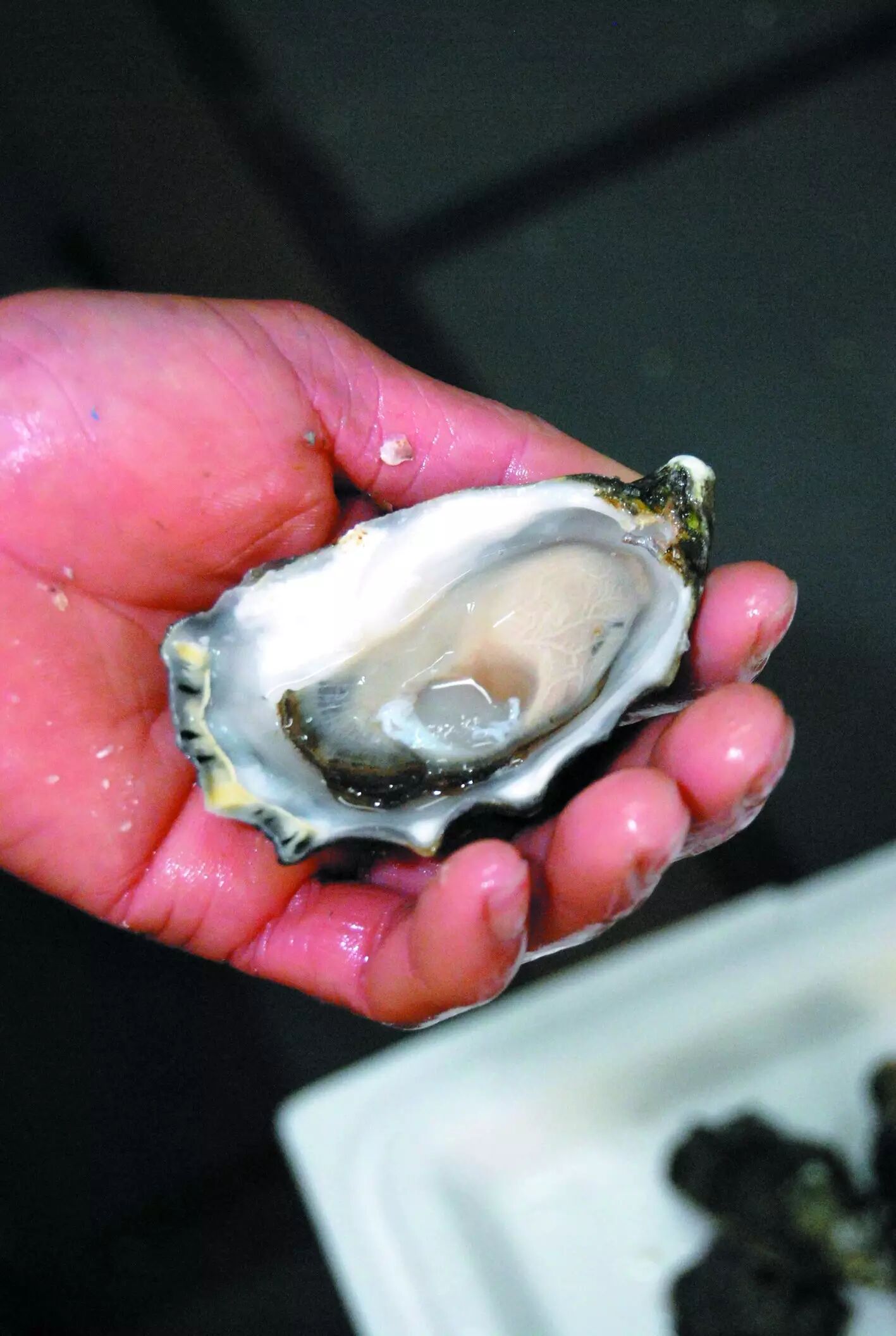 生蚝,最好的吃法是酱紫的.