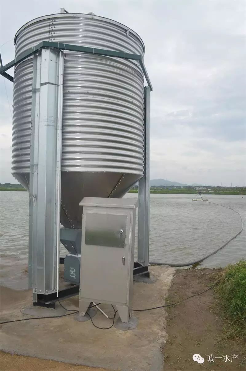 智能化自动投喂系统在诚一水产养殖示范基地的应用