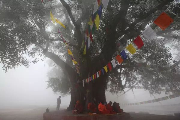 尼泊爾｜心靈之地，幸福國度 旅行 第18張