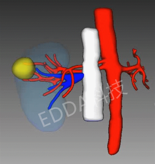 505_534gif 动态图 动图