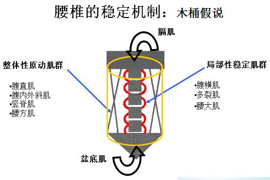 悬吊训练系统 怎么装悬吊训练疗法 ​ （悬吊训练疗法理念与原则）_https://www.jmylbn.com_新闻资讯_第5张