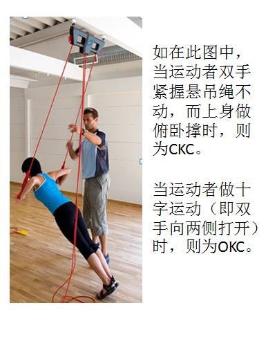 悬吊训练系统 怎么装悬吊训练疗法 ​ （悬吊训练疗法理念与原则）_https://www.jmylbn.com_新闻资讯_第7张