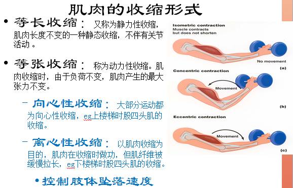 悬吊训练系统 怎么装悬吊训练疗法 ​ （悬吊训练疗法理念与原则）_https://www.jmylbn.com_新闻资讯_第3张