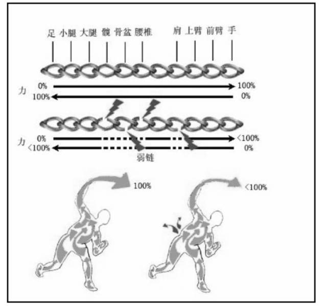 悬吊训练系统 怎么装悬吊训练疗法 ​ （悬吊训练疗法理念与原则）_https://www.jmylbn.com_新闻资讯_第8张