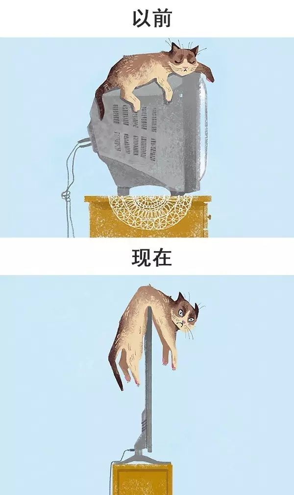 从前的猫 vs 现在的猫!看完已笑翻!-微信头条网 从前的猫 vs 现在的猫!看完已笑翻!