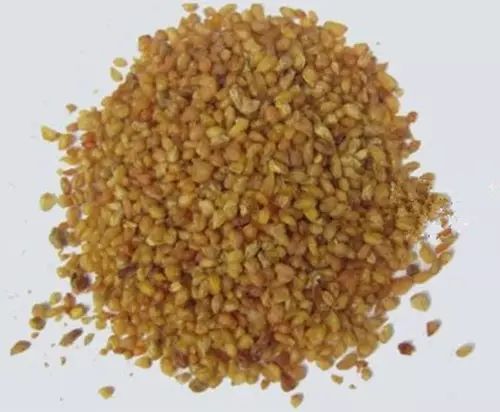 肝癌肝硬化及各种消化道癌症的食疗神品-荞麦郑智城