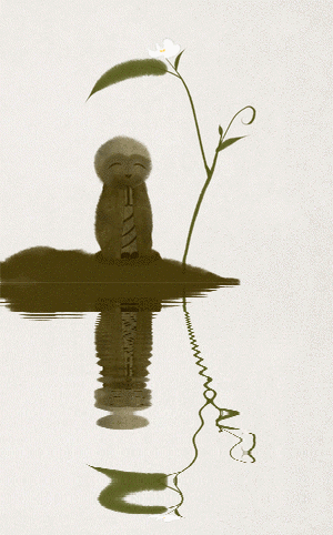 300_482竖版 竖屏gif 动态图 动图