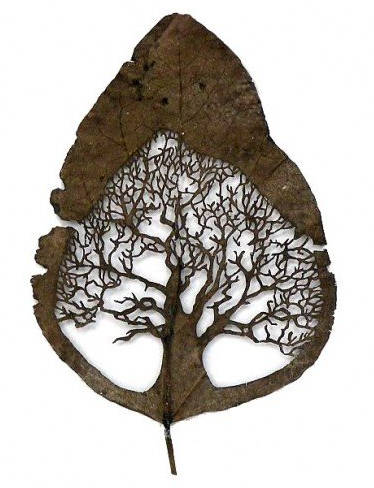 108岁老头用树叶雕刻震惊全世界