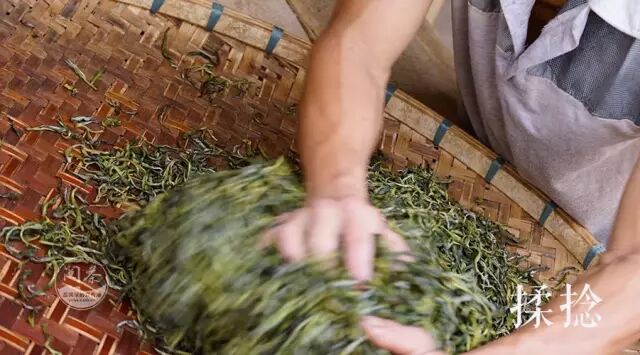 普洱毛茶都属黄茶?1张图瞬间弄清7种不同的闷黄工艺(值得收藏)