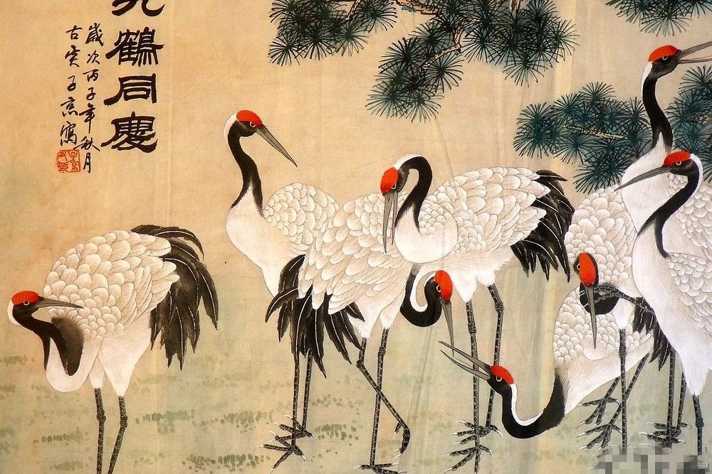 美图大师笔下的鹤仙风道骨