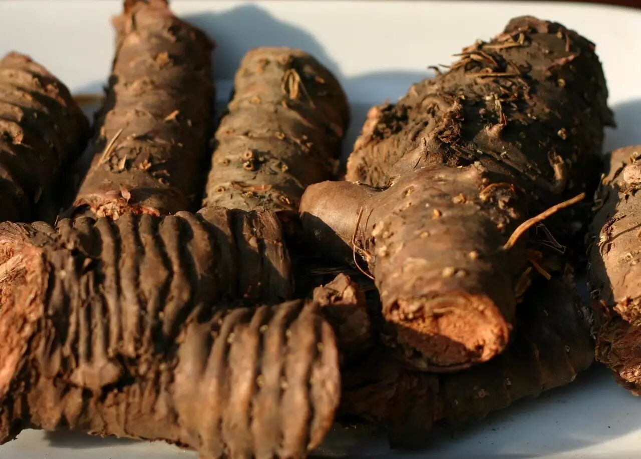 健康 神奇藏醫藏藥 中華醫學的不朽經典 壹號收藏 微文庫