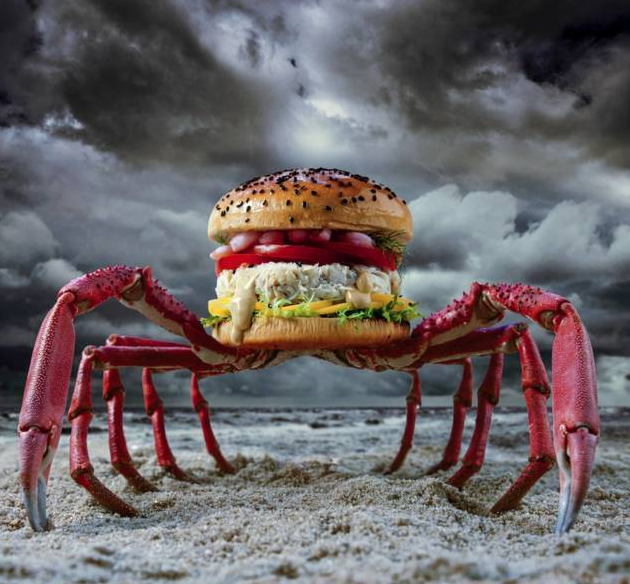 你绝对没见过的46款吊炸天的创意汉堡