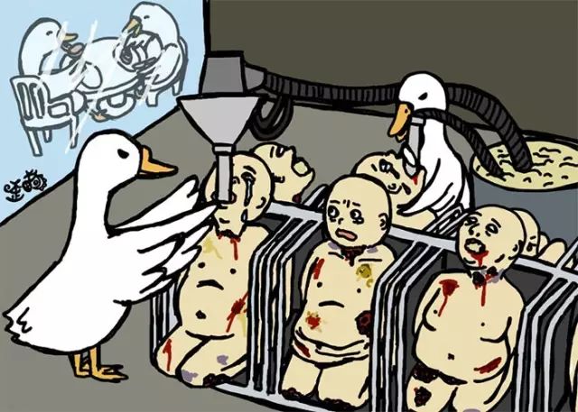 反思:当人肉被从超市买回?30张人类与动物角色对换图.