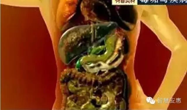 安惠产品要使用多久才能健康，看完这个就明白了！