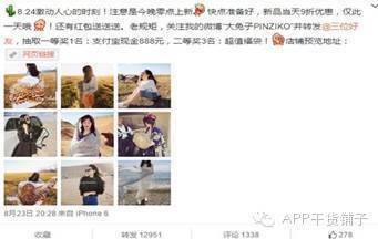  谁才是日销量1000万＋网红网店的幕后推手？