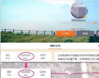  谁才是日销量1000万＋网红网店的幕后推手？