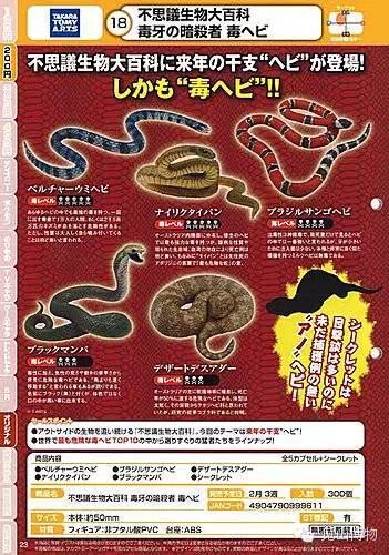 办公桌上的世界 好玩系 文章