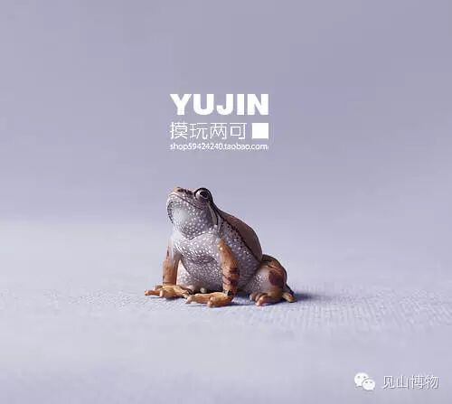 办公桌上的世界 好玩系 文章