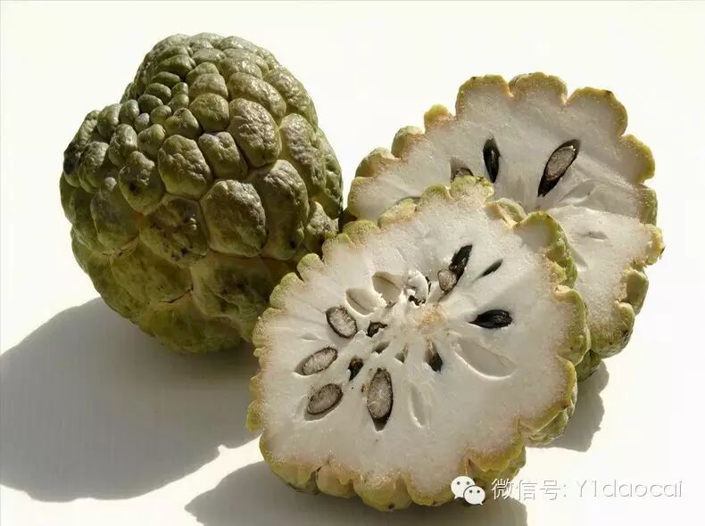 台湾释迦果,怎么吃才更美味?