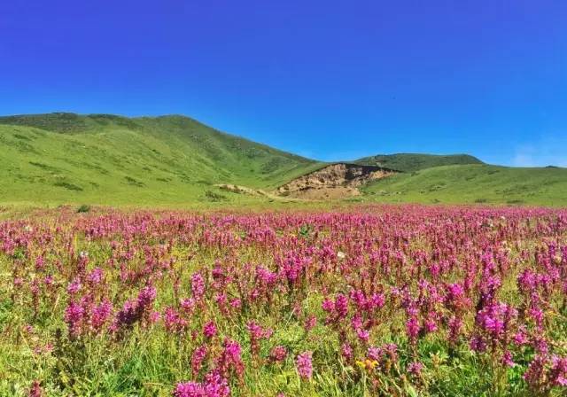 美景丨在中國，有一個地方的景色能與西藏相媲美。 旅行 第36張