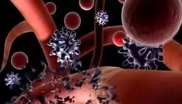 什么是经络？什么叫淤堵？经络淤堵有什么危害？你想知道的全在这