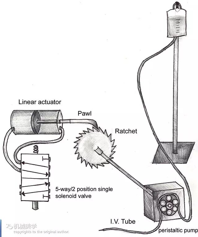 一大波棘轮动画，十分珍贵！的图21