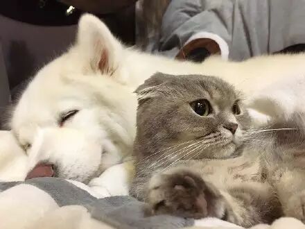 妞和端，一文一武的存在！很了不起。网友：欠收拾！！