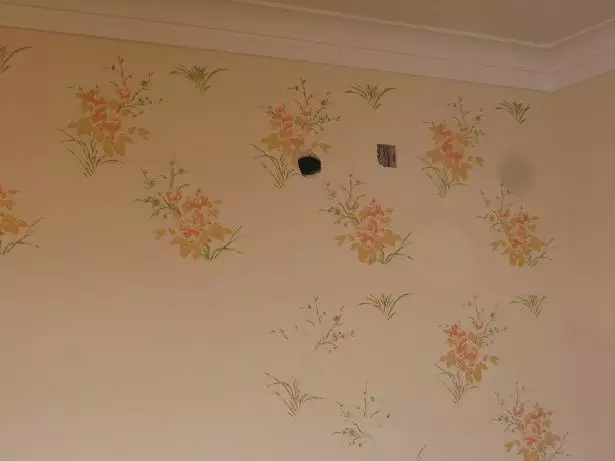 登錄查看大圖