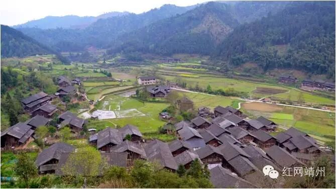 古树参天 水井密布 一起走进靖州县三锹乡菜地村