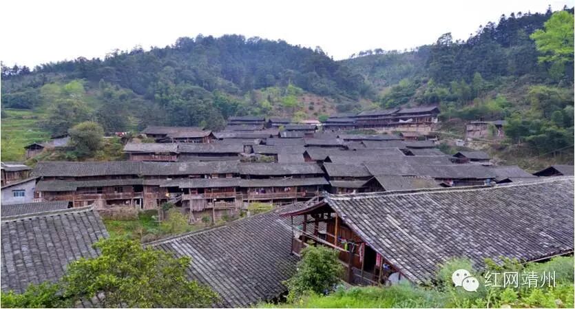 古树参天 水井密布 一起走进靖州县三锹乡菜地村