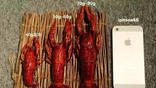 小龙虾吃法全攻略:不仅要分大小,还要分公母!