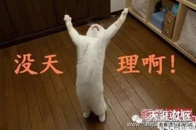 眼骨骨折算轻伤吗右眼眶骨骨折算轻伤吗？