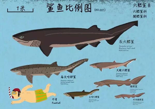 手繪鯊魚大圖鑑 動物世界 微文庫