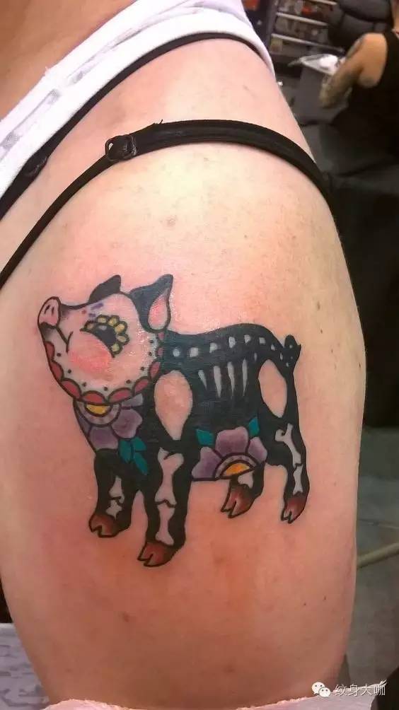属猪的纹身纹什么好图片