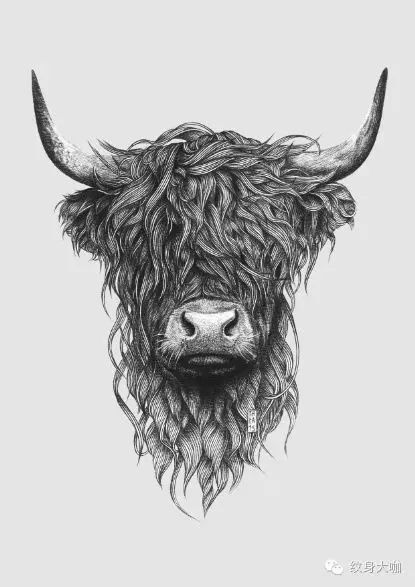 牛头纹身手稿图片
