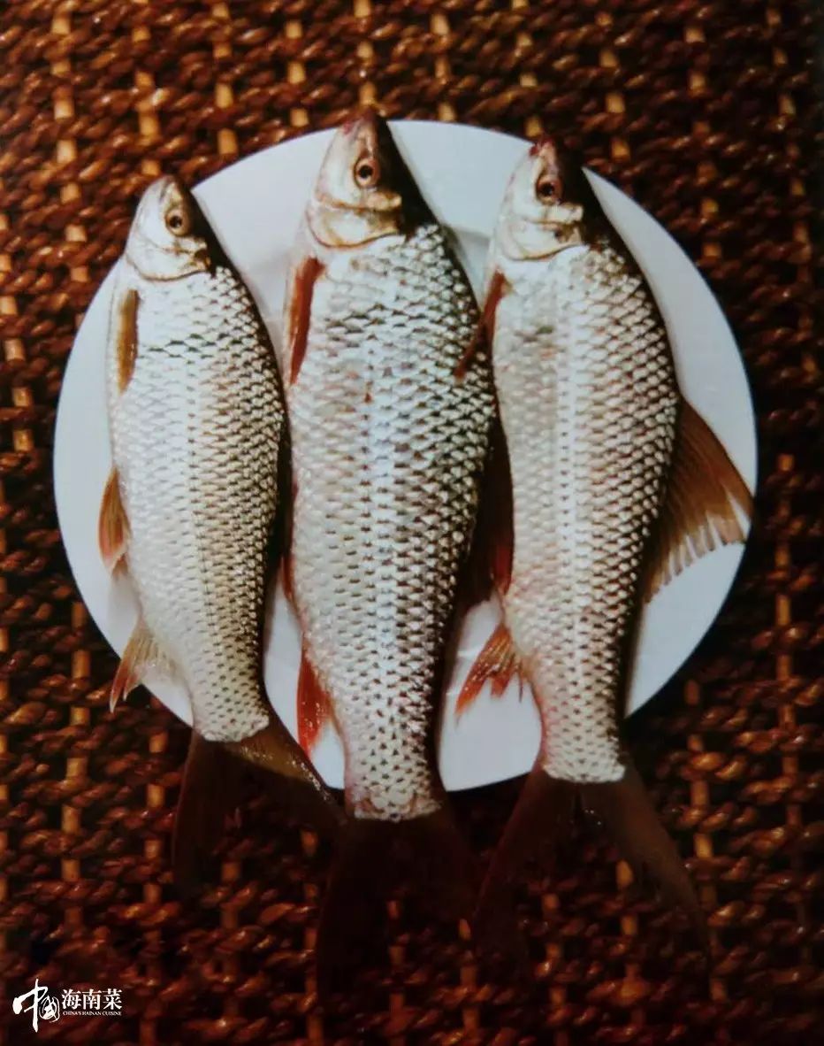 海南这些美味的鱼,光看就流口水了!