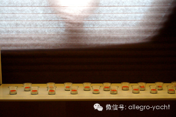 福建愛萊格游艇工業(yè)有限公司