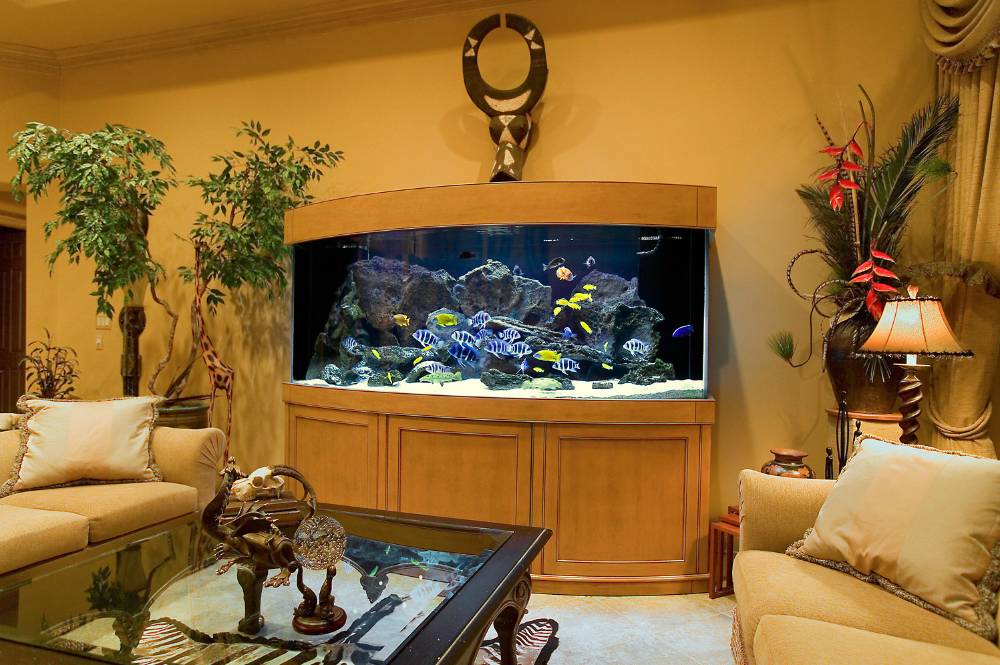室内大型鱼缸设计图片