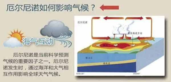 新西兰疫情缓解了，但“天灾”却悄悄降临，全球人都该警醒……（图） - 9