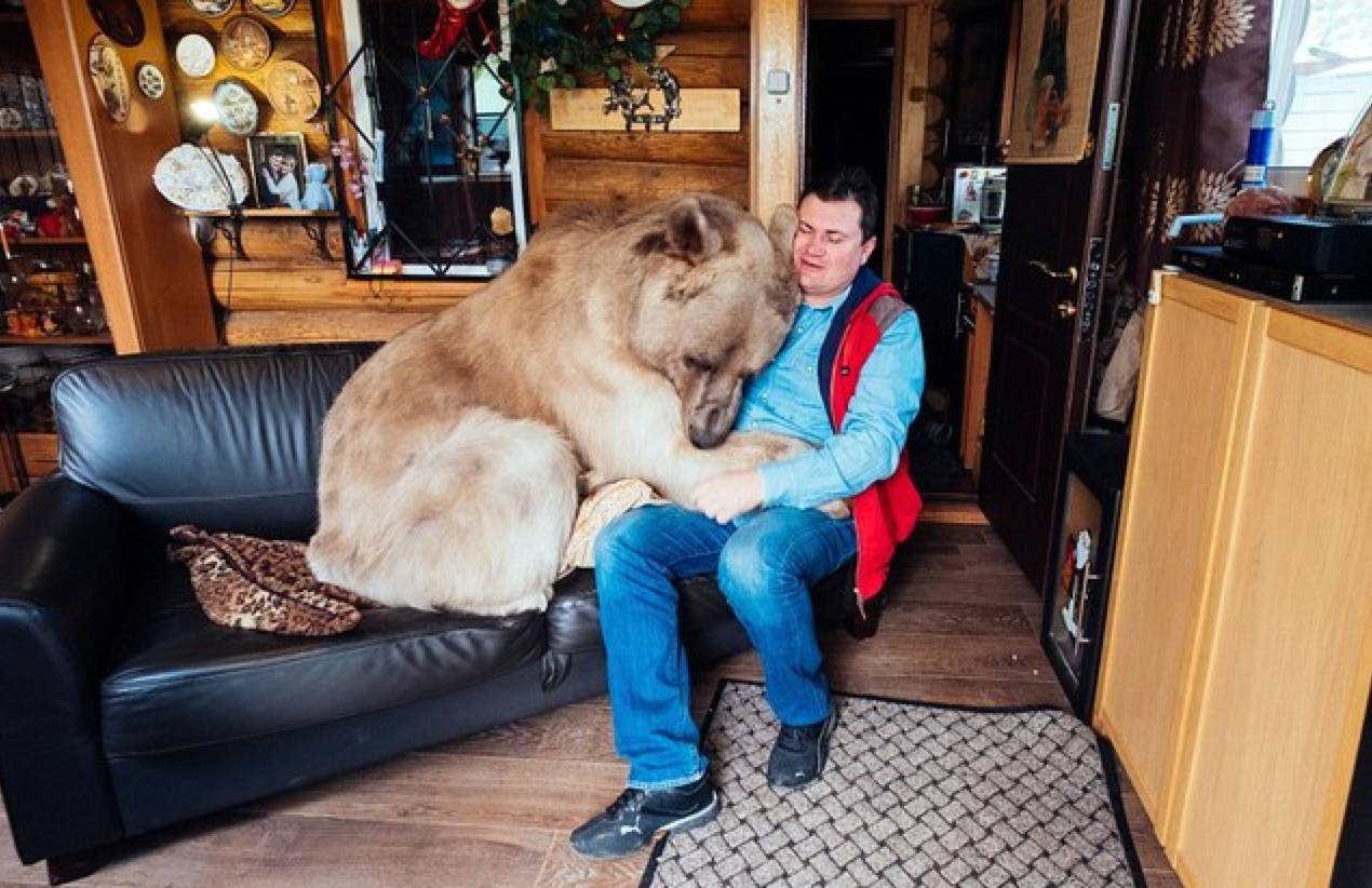 一对夫妇和熊同吃同喝同居23年这不是童话