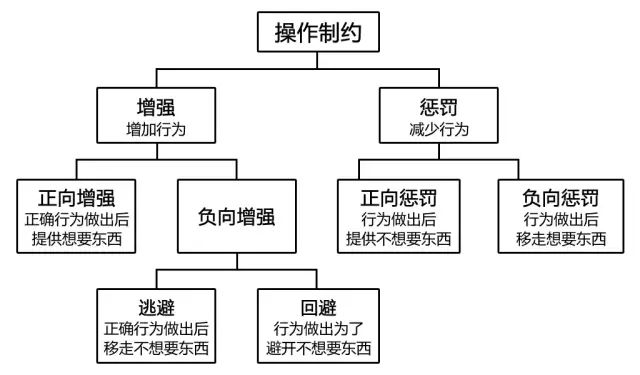 為什麼獎勵和懲罰對孩子都沒什麼用？該怎麼去管教孩子呢？ 親子 第3張