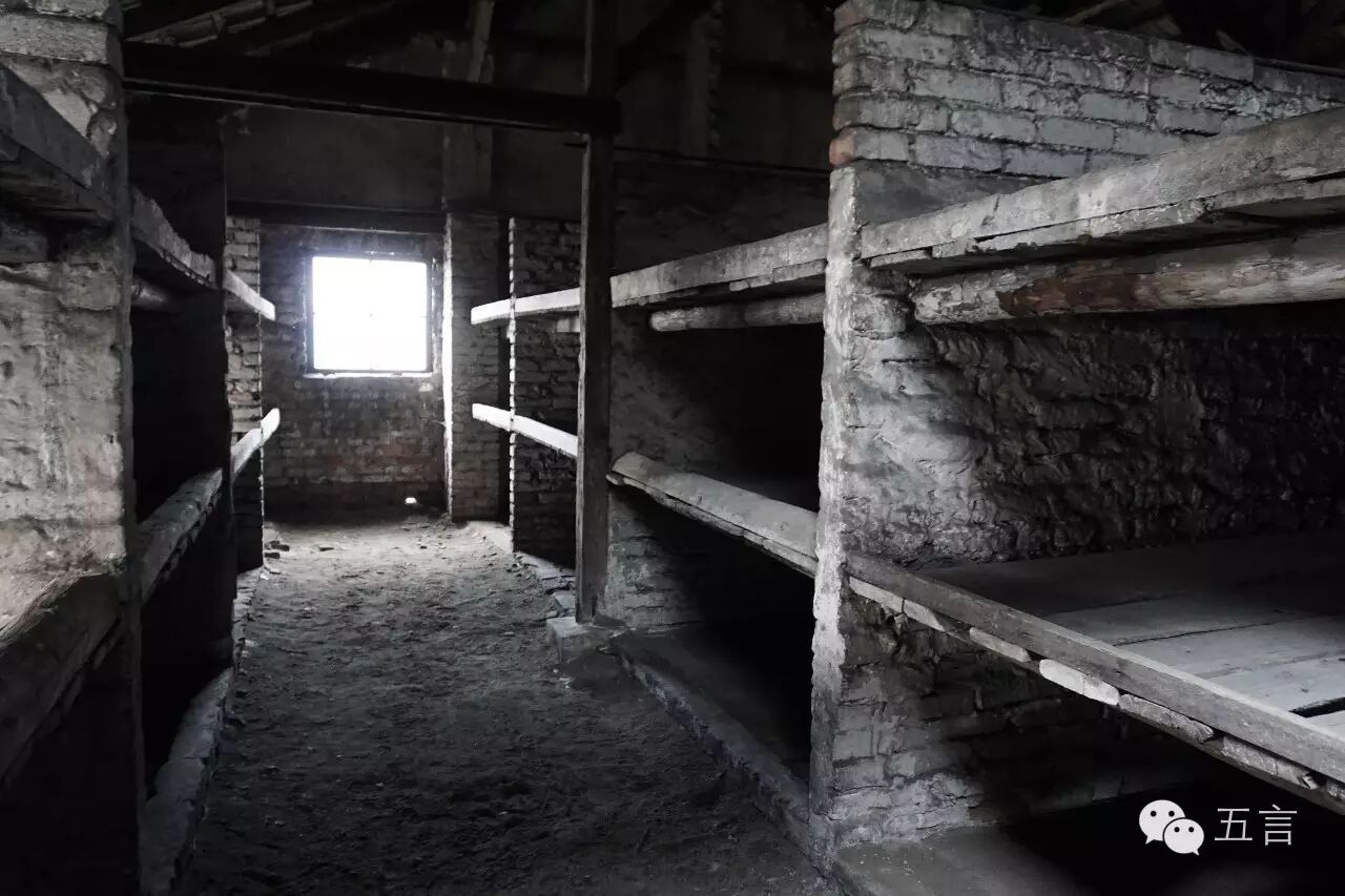 纪录片人性重生奥斯维辛