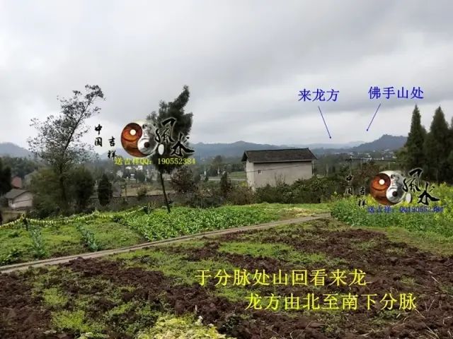 在来龙方位回看来龙之处，此龙身与其祖城佛手山发由同一山脉左侧龙身回旋之处为入首故居后方水绕，此为水绕玄武在故居后方看后托，后托有力在案台太极晕上方回看故居整体形局，可以看得到此局后靠有力，左右抱藏，明堂窝聚，前案端正平伏，形局藏风聚水气场融聚在案台上方太极晕处看朝案，整个朝案在此处可以看得到是一旗峰，迎风飘扬在明堂前方回看故居入地坪处前方看明堂及案朝，门前天心水鱼塘为月亮，案台为太阳，也有鱼塘为蚬池，案为台和纸张，前朝为笔在入口处回看左方明堂来水方在地坪入口处回看来龙方，以及青龙转案作虎砂在地坪入口处看故居中厅整体，屋后小山丘树林作后乐在大门处看中堂大门处回看左侧来水方位大门前看左侧厢房，此厢房为邓公父亲与继母居住的房子在大门前看右侧厢房，此厢房原为原始建造房在大门前回看右侧厢房，此处为原来其爷爷原来的居所，后来扩建后变成了现在的右厢房门前看前案及门前开心水聚在大门处回看前朝，朝案环抱，台上笔朝【故居整体理气布】入首为未坤龙来：