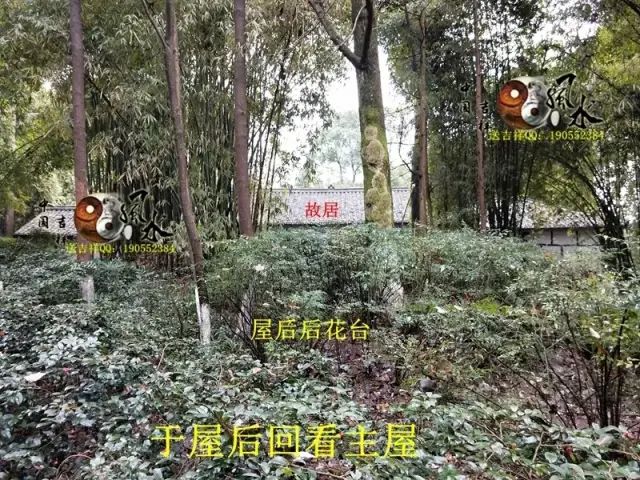 在来龙方位回看来龙之处，此龙身与其祖城佛手山发由同一山脉左侧龙身回旋之处为入首故居后方水绕，此为水绕玄武在故居后方看后托，后托有力在案台太极晕上方回看故居整体形局，可以看得到此局后靠有力，左右抱藏，明堂窝聚，前案端正平伏，形局藏风聚水气场融聚在案台上方太极晕处看朝案，整个朝案在此处可以看得到是一旗峰，迎风飘扬在明堂前方回看故居入地坪处前方看明堂及案朝，门前天心水鱼塘为月亮，案台为太阳，也有鱼塘为蚬池，案为台和纸张，前朝为笔在入口处回看左方明堂来水方在地坪入口处回看来龙方，以及青龙转案作虎砂在地坪入口处看故居中厅整体，屋后小山丘树林作后乐在大门处看中堂大门处回看左侧来水方位大门前看左侧厢房，此厢房为邓公父亲与继母居住的房子在大门前看右侧厢房，此厢房原为原始建造房在大门前回看右侧厢房，此处为原来其爷爷原来的居所，后来扩建后变成了现在的右厢房门前看前案及门前开心水聚在大门处回看前朝，朝案环抱，台上笔朝【故居整体理气布】入首为未坤龙来：