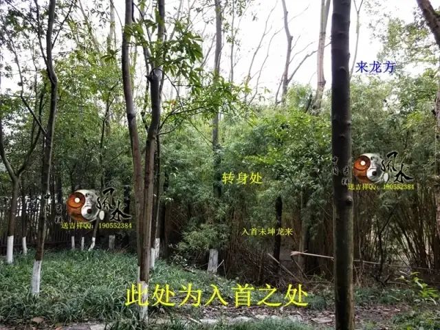 在来龙方位回看来龙之处，此龙身与其祖城佛手山发由同一山脉左侧龙身回旋之处为入首故居后方水绕，此为水绕玄武在故居后方看后托，后托有力在案台太极晕上方回看故居整体形局，可以看得到此局后靠有力，左右抱藏，明堂窝聚，前案端正平伏，形局藏风聚水气场融聚在案台上方太极晕处看朝案，整个朝案在此处可以看得到是一旗峰，迎风飘扬在明堂前方回看故居入地坪处前方看明堂及案朝，门前天心水鱼塘为月亮，案台为太阳，也有鱼塘为蚬池，案为台和纸张，前朝为笔在入口处回看左方明堂来水方在地坪入口处回看来龙方，以及青龙转案作虎砂在地坪入口处看故居中厅整体，屋后小山丘树林作后乐在大门处看中堂大门处回看左侧来水方位大门前看左侧厢房，此厢房为邓公父亲与继母居住的房子在大门前看右侧厢房，此厢房原为原始建造房在大门前回看右侧厢房，此处为原来其爷爷原来的居所，后来扩建后变成了现在的右厢房门前看前案及门前开心水聚在大门处回看前朝，朝案环抱，台上笔朝【故居整体理气布】入首为未坤龙来：