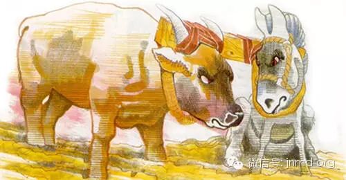 唐崇荣 关于婚姻家庭的几个问题 自由微信 Freewechat