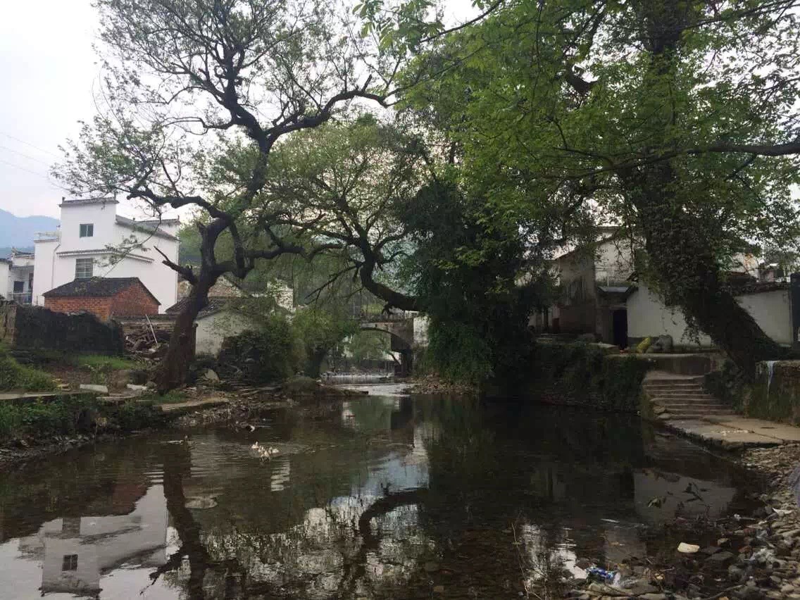 柯林胶中国最美乡村江西婺源采风写生