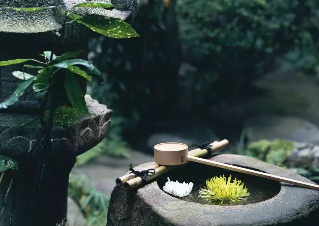 【早读】人生的最高境界 就一个字！