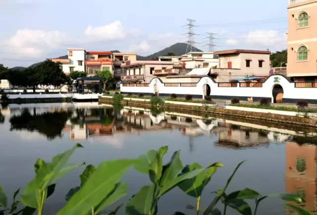 江门鹤山共和镇图片